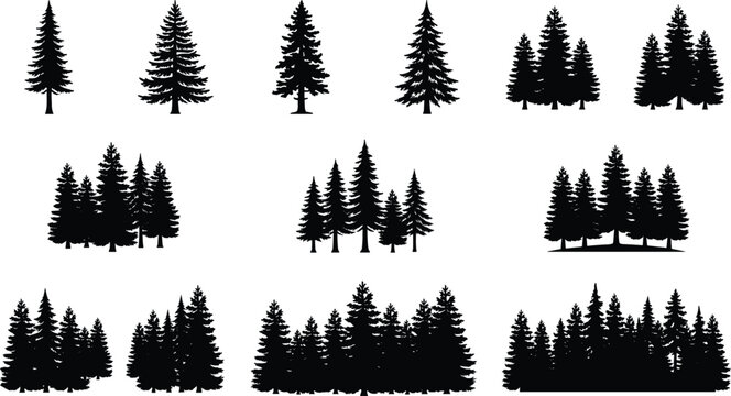 Pine Tree Silhouette Collection with Evergreen Forest Landscape Elements and Conifer Woodland Set