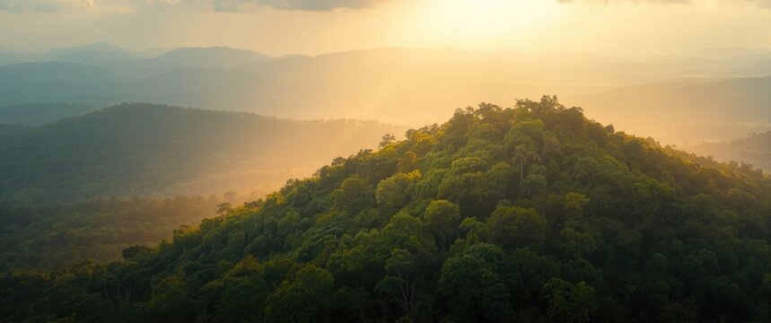 Sunrise bathing undulating forest hills in soft golden hues