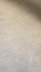 Obraz premium Close Up of White Faux Fur Texture Background