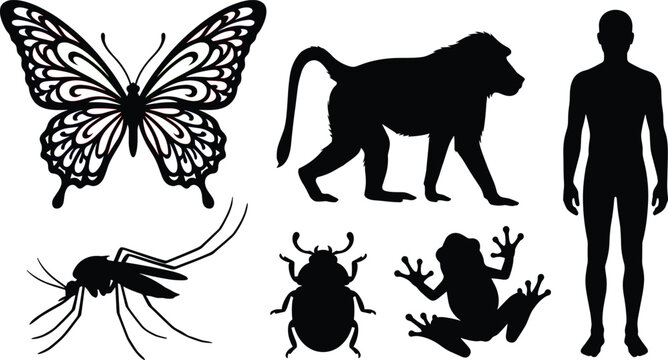 Black silhouettes collection of biological organisms including baboon butterfly mosquito frog beetle and human male body shape on white background