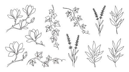 Minimalist botanical line art collection, elegant floral vector set with magnolia and lavender, hand drawn continuous line leaves and ivy vines © Dream Time Studio