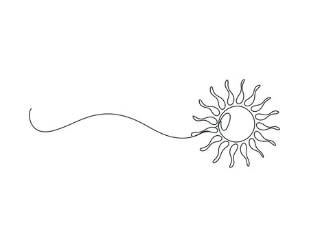 Simple line drawing of a sperm cell moving forward quickly on transparent background