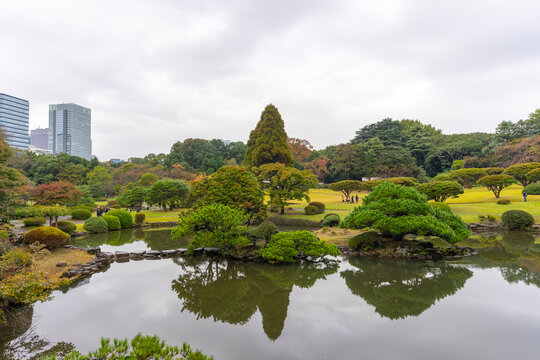  Japanese Garden at Shinjuku gyoen in Tokyo, Japan