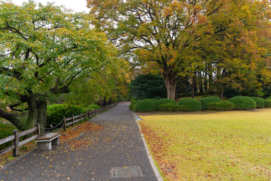 Shinjuku Gyoen National Garden is a large park and garden in Shinjuku and Shibuya, Tokyo, Japan.