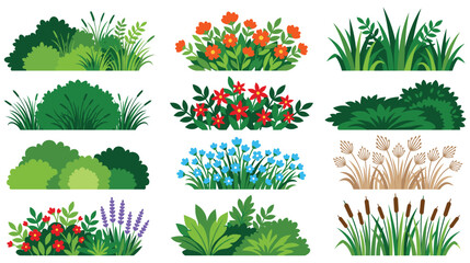 Set of decorative garden shrubs and wild floral plants. © Amir