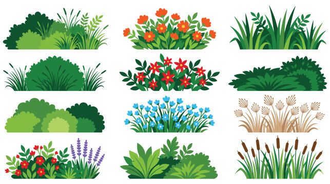 Set of decorative garden shrubs and wild floral plants.