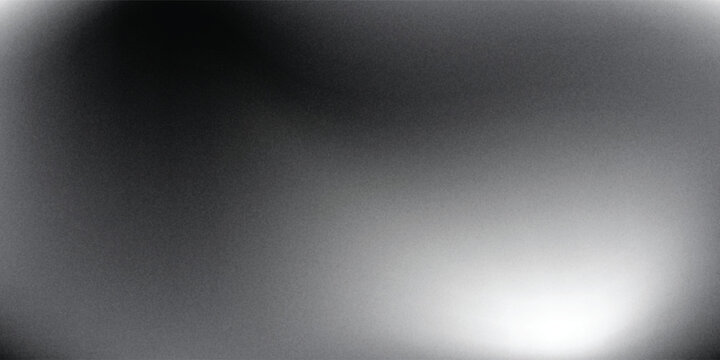 Abstract modern background with monochrome grey grainy mesh gradient soft wave texture for website presentation template banner.
