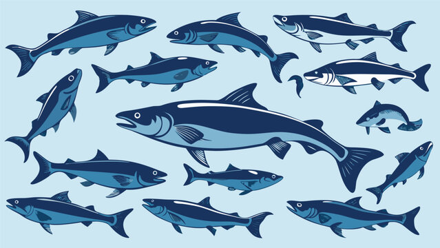 Collection of stylized salmon fish illustrations in various poses and sizes against a pale blue background