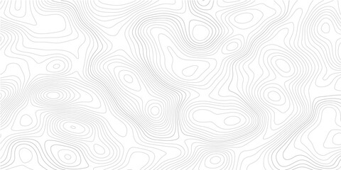 Abstract white topographic contour map background with seamless gray elevation lines, organic geographic terrain patterns, minimalist wavy relief curves and modern cartography texture  © Mirror