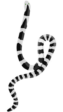 Malayan krait snake