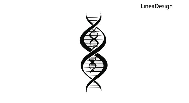 DNA double helix structure is depicted in a black and white illustration.
