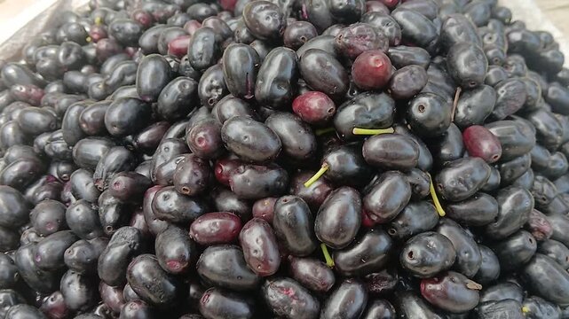 Video of Java plum, or Indian blackberry