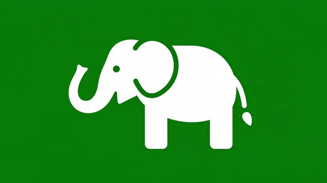 Flat vector animation of a cute white elephant icon zooming in closer on a solid vibrant green background