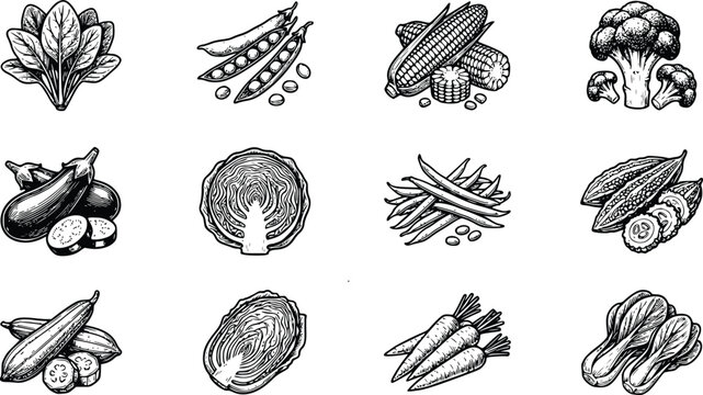 Set Ikon Sayuran Segar Vintage Hitam Putih &ndash; Bayam, Kacang Polong, Jagung, Brokoli, Terong, Wortel, Kubis, dan Pakcoy Vector Collection