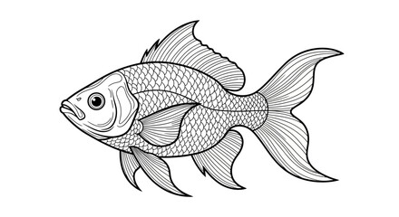 Fototapeta premium Detailed illustration of a single fish.