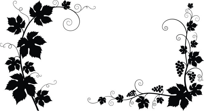 Decorative grapevine silhouette with curling tendrils grape clusters and large leaves forming elegant corner frame design for ornamental artwork