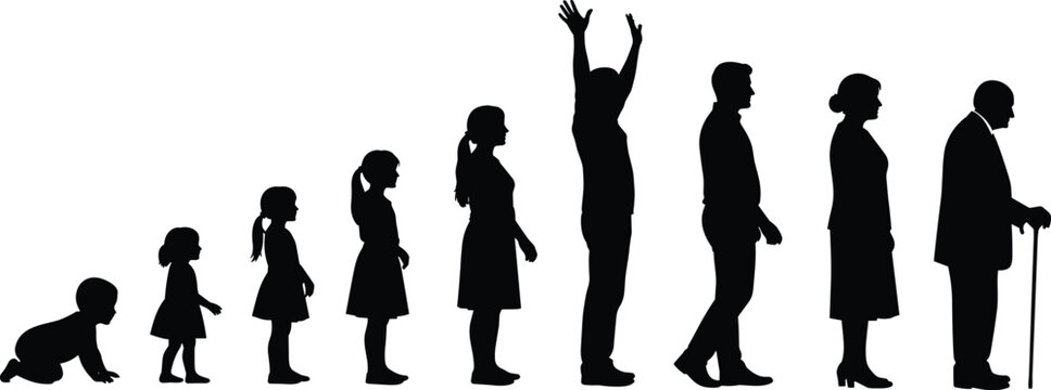 Silhouettes of human life stages from infancy to old age, symbolizing growth, aging, development, and progression through the life cycle