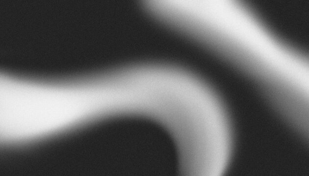 Black and White Abstract Wave Background Flowing Gray Curves Monochrome Silk Smooth Texture Backdrop for Design