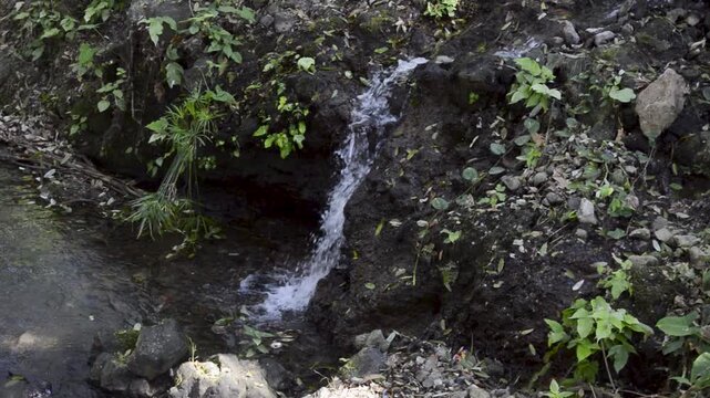 Relaxing Forest Waterfall