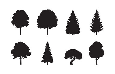 Collection of deciduous and coniferous tree silhouettes for forest landscape and park design. © Sumon