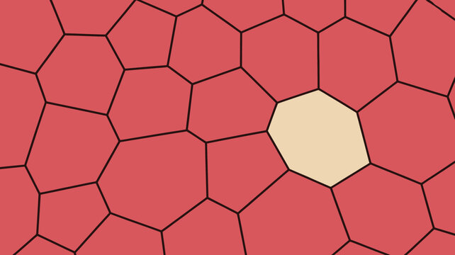 Voronoi diagram with irregular polygonal cells and black outlines on a reddish pink background abstract algorithm cell cellular geometric geometry