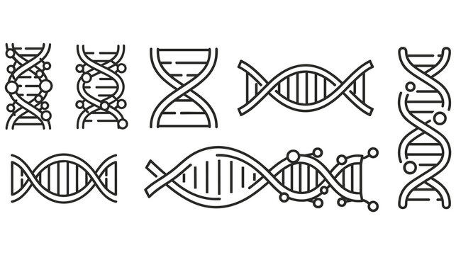 Set of dna spirals in outline style, gene code and chromosome structure.