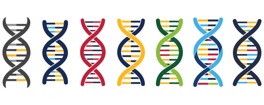 Set of colorful dna spirals, gene code and chromosome structure.