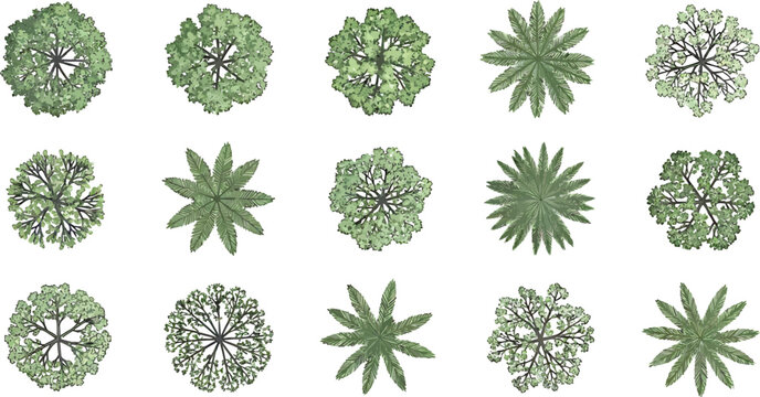 Set of top view tree icons for architectural landscape design plans and site map illustrations vector collection