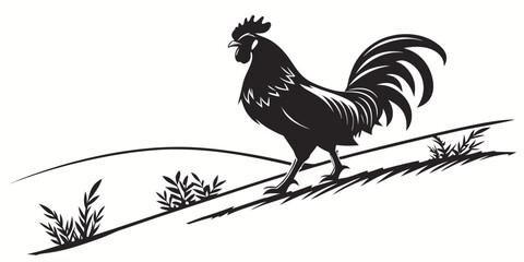 Minimalist black and white graphic design of a standing rooster with illustration countryside livestock cockerel agriculture domestic standing silhouette minimalist farmyard creature © AX