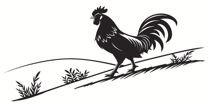 Minimalist black and white graphic design of a standing rooster with illustration countryside livestock cockerel agriculture domestic standing silhouette minimalist farmyard creature