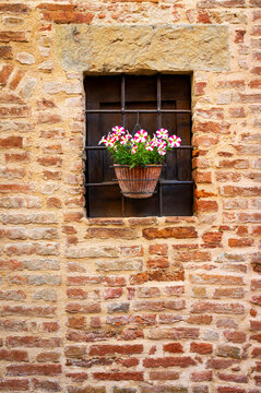 Window with flowers pot in an medieval palace facade of Certaldo, medieval village of Tuscany (Province of Firenze, Italy).