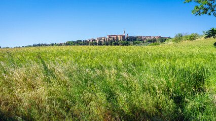 Naklejka premium Panoramic view of the hills and countryside surrounding the village of Pienza (Tuscany village, Italy) during early summertime.