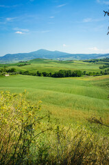 Naklejka premium Panoramic view of the hills and countryside surrounding the village of Pienza (Tuscany village, Italy) during early summertime.