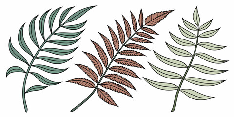 Set of three decorative palm and fern leaves in pastel tones with botanical tropical illustration isolated background collection decoration stylized backdrop ornamental © AG