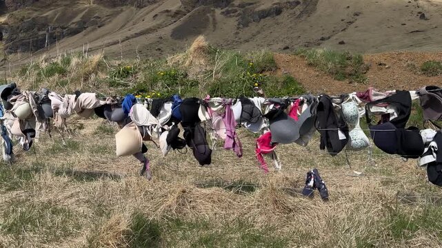 a popular place in Iceland. Colorful assortment of bras hanging on a clothesline in a rural landscape, with green grass and distant hills under a clear blue sky