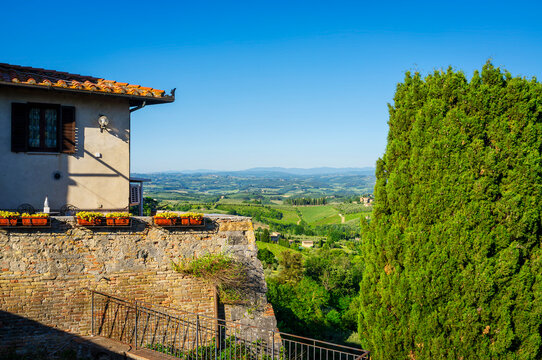 Panoramic view of the hills and countryside surrounding the village of San Gimignano (Tuscany village, Italy), covered by olive trees and vineyards, during early summertime.
