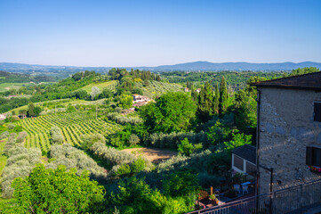 Naklejka premium Panoramic view of the hills and countryside surrounding the village of San Gimignano (Tuscany village, Italy), covered by olive trees and vineyards, during early summertime.