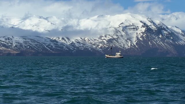 Passenger fishing boat carrying tourists during a whale watching excursion in the waters near H&uacute;sav&iacute;k, Northern Iceland. 