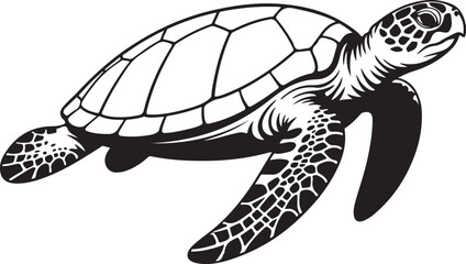 Fototapeta premium Sea Turtle Swimming Isolated on White Background