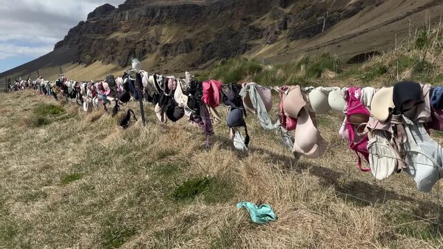 a popular place in Iceland. Colorful assortment of bras hanging on a clothesline in a rural landscape, with green grass and distant hills under a clear blue sky