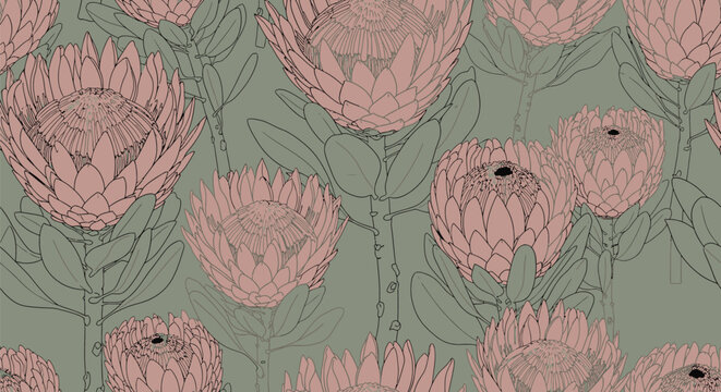 Pink Protea Flowers on Green Background Seamless Pattern