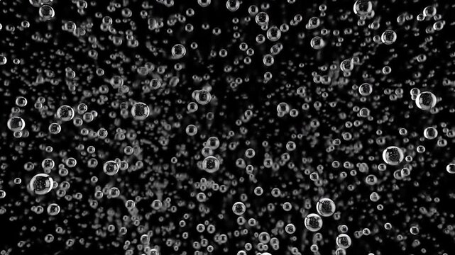 Multiple small translucent bubbles rising across wide frame captured from front angle against pure black background