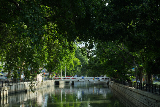 The large drainage canal is lined on both sides with big trees.