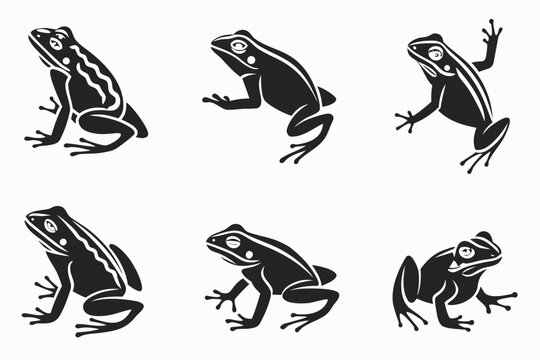 Black and white frogs in jumping poses