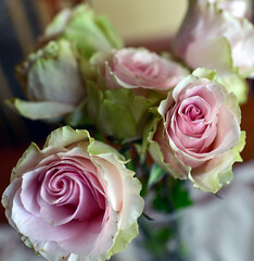 COLORFUL ROSES IN A VASE ON THE TABLE © Piotr
