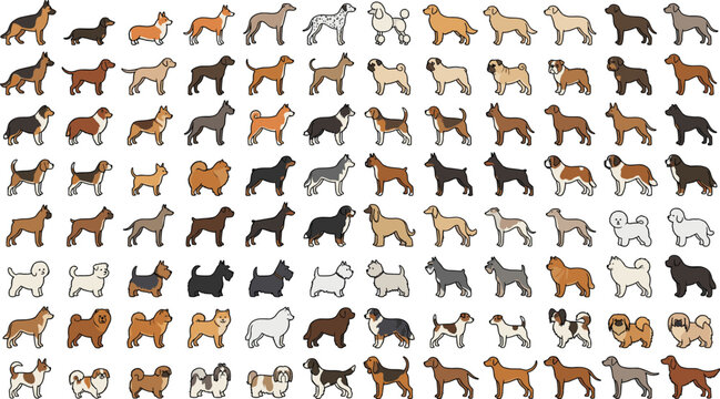 Cute Cartoon Full Body Dog Breed Mega Collection Set with Various Poses Isolated on White Background Vector Illustration