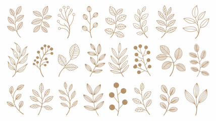 An assortment of botanical line illustrations featuring various leaf and berry branch designs on a white background illustration leaves branches © Digishopppp