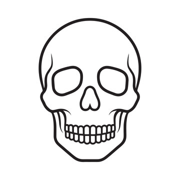 Skull Silhouette On White Background Black Line Art Illustration