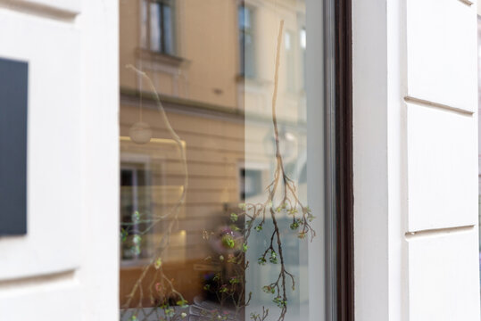 Elegant boutique storefront window with decorative interior details and reflections of surrounding architecture, capturing urban shopping atmosphere