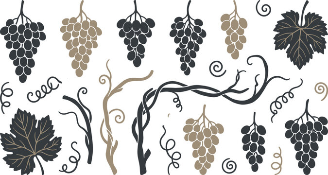 hand drawn stylized black and gold grape bunches with vine branches swirling tendrils and detailed leaves set isolated vector illustration